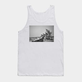 Windswept Lone Tree Tank Top